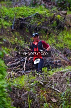 Runner Photo 2530551
