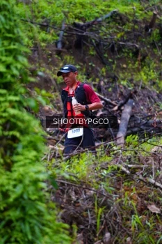 Runner Photo 2530567