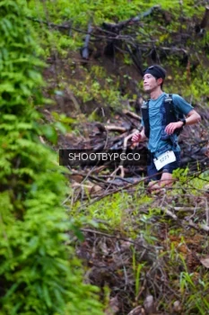 Runner Photo 2530613