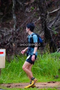 Runner Photo 2530646