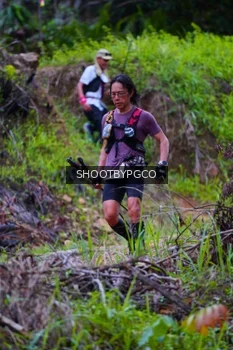 Runner Photo 2530783