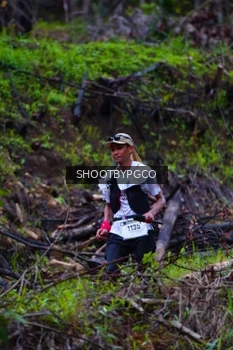 Runner Photo 2530806
