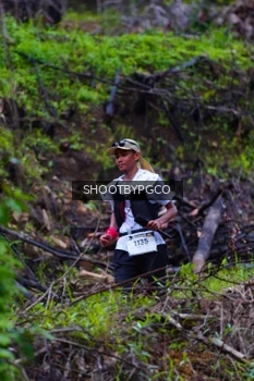 Runner Photo 2530811