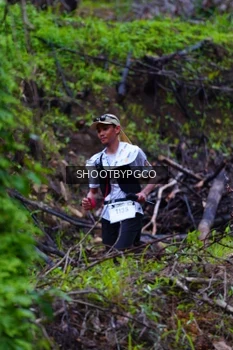 Runner Photo 2530822