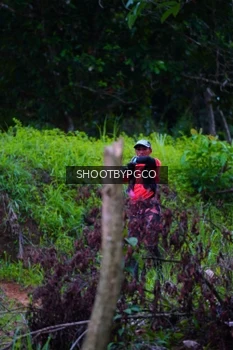 Runner Photo 2530828