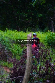 Runner Photo 2530834