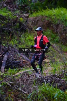 Runner Photo 2530839