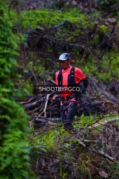 Runner Photo 2530860