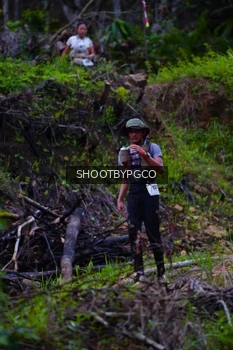 Runner Photo 2530963