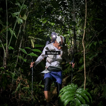 Runner Photo 2531019