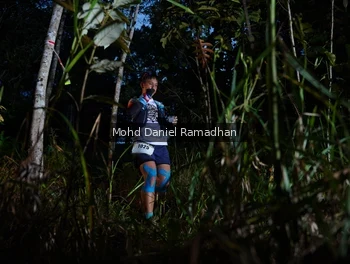 Runner Photo 2531138