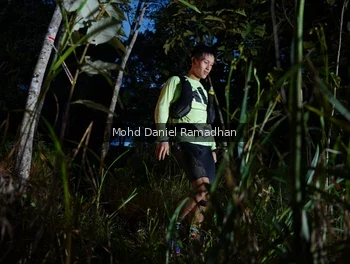 Runner Photo 2531159