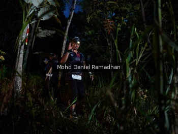 Runner Photo 2531238