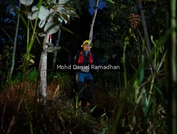 Runner Photo 2531291