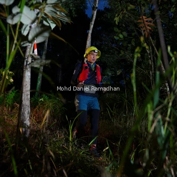 Runner Photo 2531294