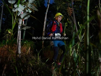 Runner Photo 2531311