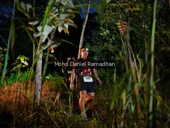 Runner Photo 2531375