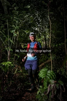 Runner Photo 2531381
