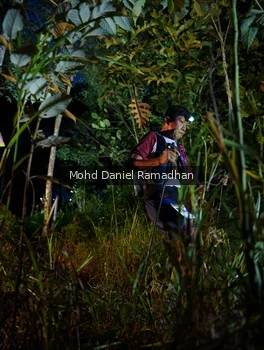 Runner Photo 2531420
