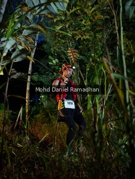 Runner Photo 2531437