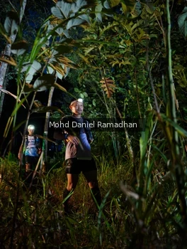 Runner Photo 2531457