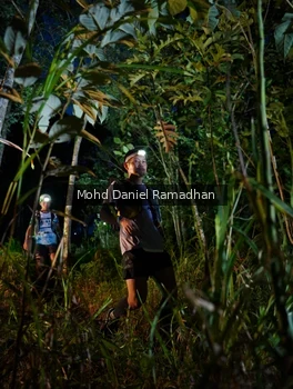 Runner Photo 2531461
