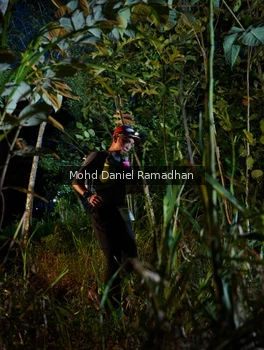 Runner Photo 2531475