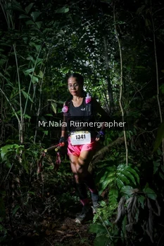 Runner Photo 2531479