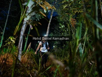 Runner Photo 2531487