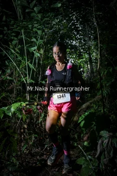 Runner Photo 2531500