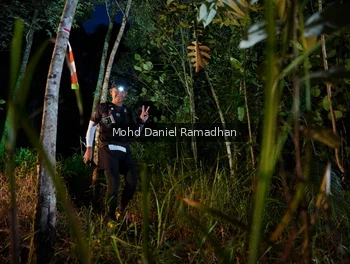 Runner Photo 2531501
