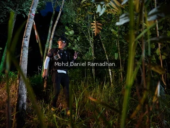 Runner Photo 2531503