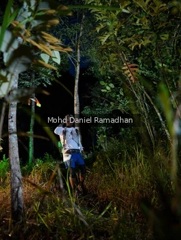 Runner Photo 2531591