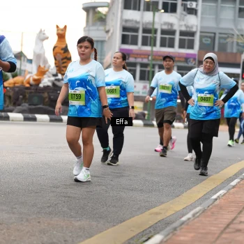 Runner Photo 2531601