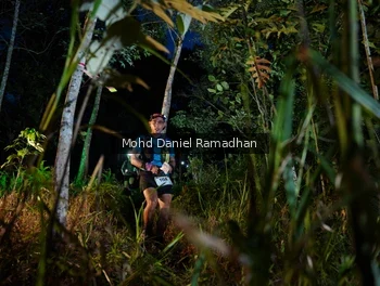 Runner Photo 2531647