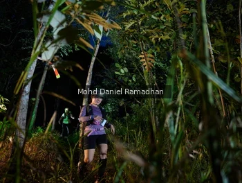 Runner Photo 2531655