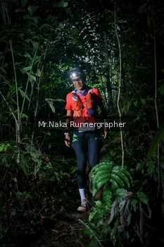 Runner Photo 2531755