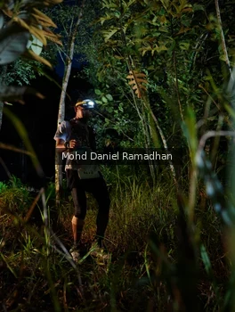 Runner Photo 2531770