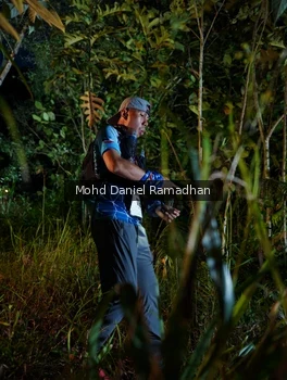 Runner Photo 2531777
