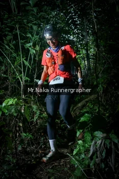 Runner Photo 2531794