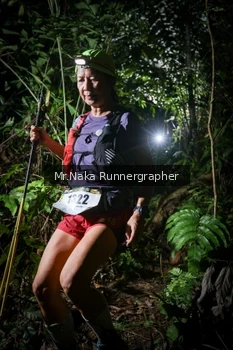 Runner Photo 2531859