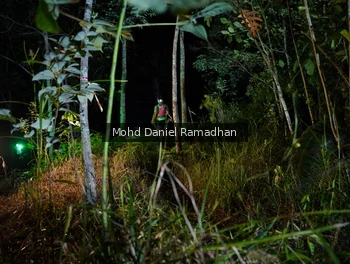 Runner Photo 2531887