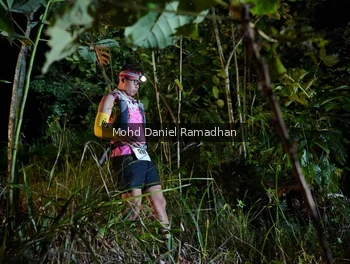 Runner Photo 2531897