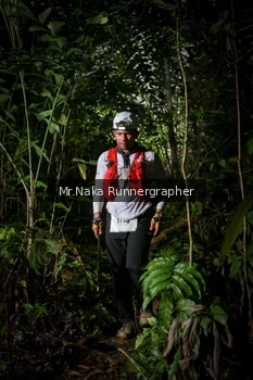 Runner Photo 2531919