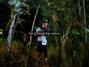 Runner Photo 2531930