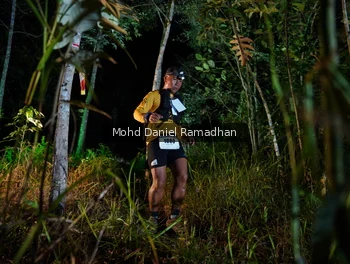 Runner Photo 2531941
