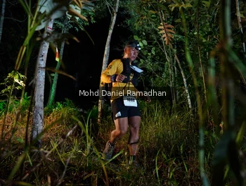 Runner Photo 2531943