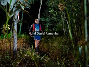 Runner Photo 2531963