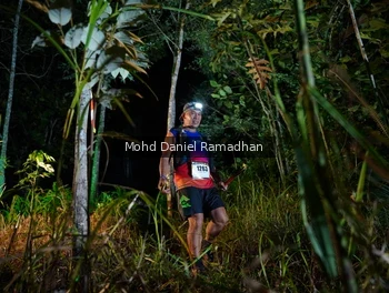 Runner Photo 2531978