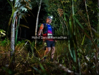 Runner Photo 2531994